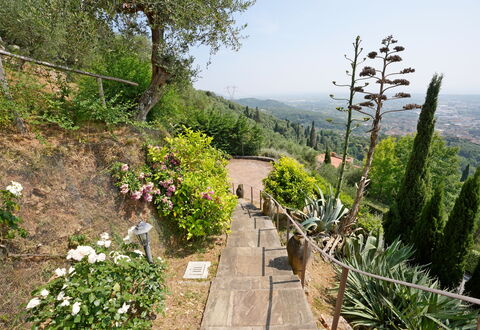 Uno Sguardo sul Mare: Vegetation, Strauch, Landschaft, Pflanzengemeinschaft, Garten, Ground, Walkway, Weg, Botanischer Garten