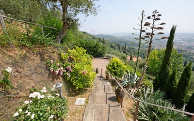 Uno Sguardo sul Mare: Vegetation, Strauch, Landschaft, Pflanzengemeinschaft, Garten, Ground, Walkway, Weg, Botanischer Garten