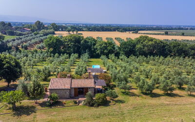 Rustico
