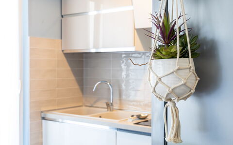 Altamarea Apartment: Interior Design, Blumentopf, Küche, Flooring, Fussboden, Zimmerpflanze, Countertop, Zimmer, Vase, Cabinetry