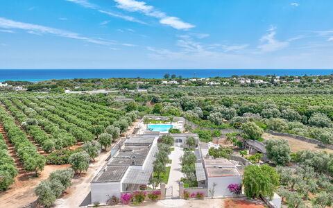 Masseria Lamagrotte By Raro Rooms: Resort, Estate, Landscaping, Plantage, Vogelperspektive, Schwimmbad, Eco Hotel, Luftaufnahmen, Ferienort, Hazienda
