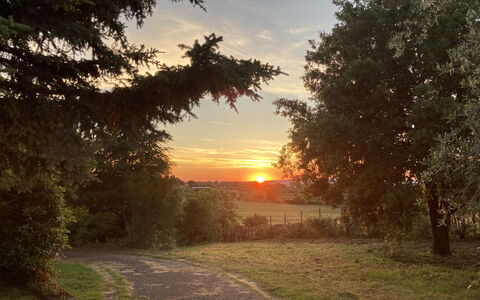 Villa Ginevra: Sonne, Blatt, Ast, Baum, Natur, Gras, Natürliche Landschaft, Sonnenuntergang, Sonnenaufgang