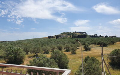 Casa sugli Uliveti