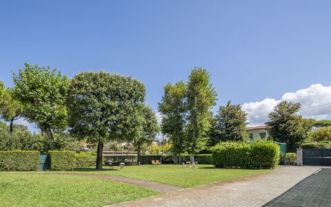 Attico Marino: Grün, Gras, Strauch, Öffentlicher Raum, Garten, Ground, Rasen, Schatten, Hecke, Landscaping