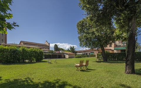 Attico Marino: Gras, Baum, Strauch, Landschaft, Grundstueck, Garten, Rasen, Ground, Schatten