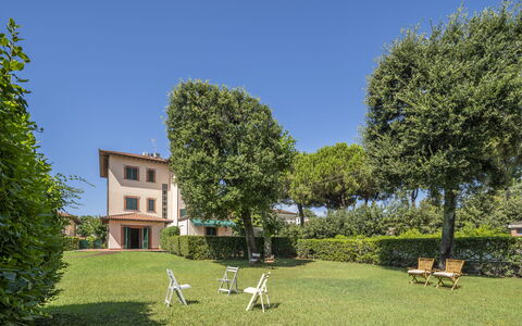 Attico Marino: Gras, Strauch, Zuhause, Grundstueck, Rasen, Garten, Estate, Garten, Landscaping, Hecke