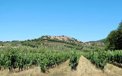 Castagneto Carducci 50