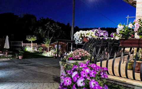 Le Rondini: Nacht, Blumentopf, Garten, Floristik, Mitternacht, Landscaping, Zimmerpflanze, Landschaft Beleuchtung, Garten