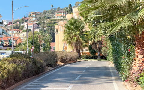 Casa Francy - Arma Di Taggia: Baum, Strassenbelag, Strasse, Vegetation, Wohngebiet, Durchgangsstrasse, Asphalt, Strasse, Fahrbahn