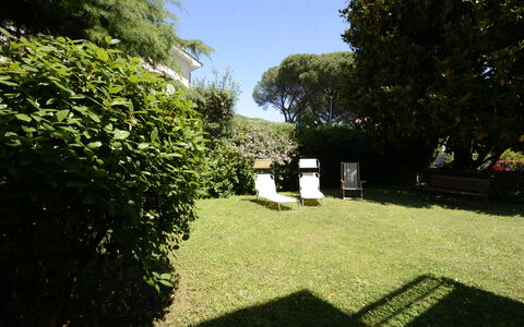 Casa Silvia: Blatt, Strauch, Garten, Rasen, Ground, Hinterhof, Schatten, Garten, Landscaping, Hecke