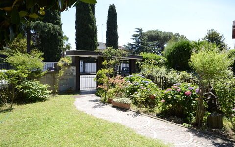 Casa Silvia: Strauch, Garten, Pflanzengemeinschaft, Ground, Landscaping, Garten, Schatten, Hinterhof, Rasen