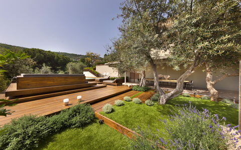 Villantonella: Garten, Strauch, Ground, Landscaping, Hinterhof, Garten, Schatten, Estate, Walkway, Eco Hotel