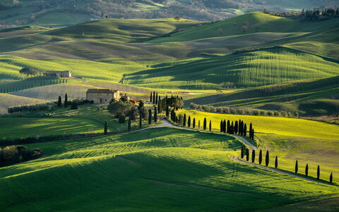 Oliveto del Cantarello: Gras, Natürliche Landschaft, Hügel, Wiese, Landschaft, Hochland, Feld, Einfach, Ländliches Gebiet, Wiese
