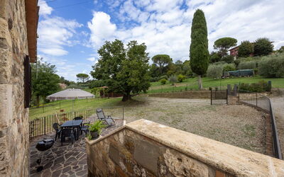 Oliveto del Cantarello