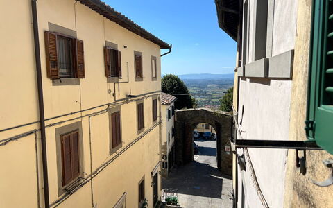 Guelfa 60: Gasse, Balkon, Zimmerpflanze