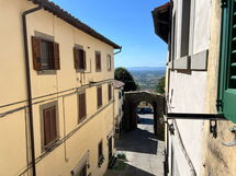 Guelfa 60