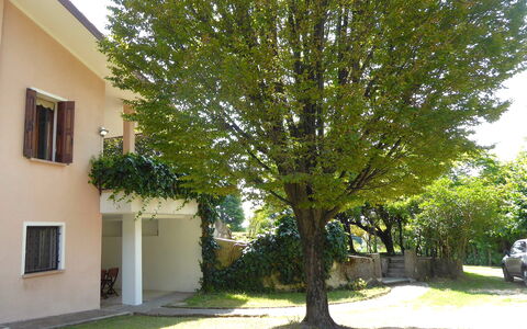 Villa Rosa Apartment: Gehölz, Schatten, Garten, Garten, Rasen, Hinterhof, Landscaping, Auffahrt, Immergrün