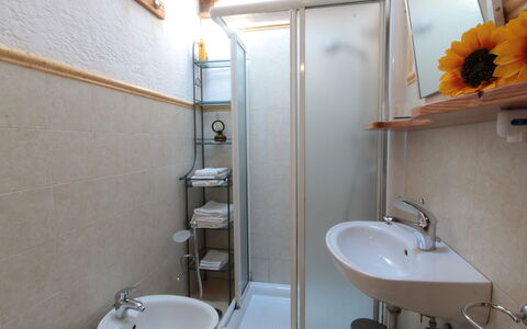 Chalet Fagarè, Pool, Sauna, Prosecco Hills: Bad Sink, Armatur, Wand, Sinken, Badezimmer, Interior Design, Holz, Flooring, Fussboden, Zapfhahn