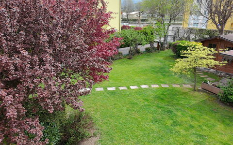 House Martina: Strauch, Garten, Ground, Rasen, Frühling, Hinterhof, Garten, Landscaping, Park
