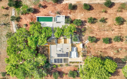 Villa Manè: Baum, Estate, Plantage, Luftaufnahmen, Vogelperspektive