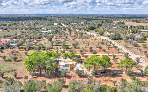 Villa Manè: Daytime, Baum, Landschaft, Grundstueck, Einfach, Ländliches Gebiet, Vogelperspektive, Feld, Luftaufnahmen, Plantage