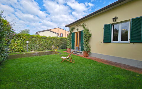 Villetta Tonfano: Garten, Rasen, Hinterhof, Garten, Schatten, Landscaping, Kunstrasen, Hof, Zimmerpflanze
