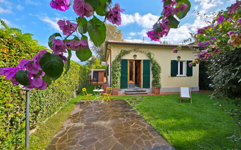 Villetta Tonfano: Strauch, Garten, Landscaping, Garten, Hinterhof, Rasen, Schatten, Blumentopf, Hazienda