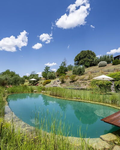 Aqua Bio Retreat: Blau, Natürliche Landschaft, Teich, Garten, Schwimmbad, Reflexion, Landscaping, Reservoir, Eco Hotel