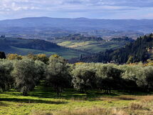 Novellina