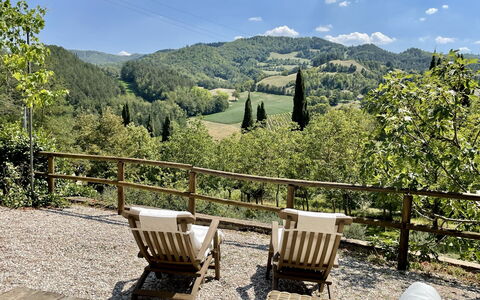 Torre Fantini: Baum, Landschaft, Möbel, Gartenmöbel, Wald, Frühling, Tisch Im Freien, Schatten, Bergstation, Hartholz