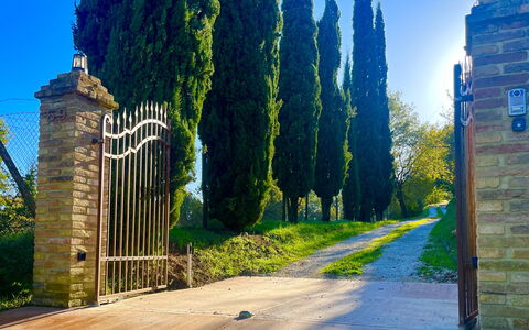 Villa Vindelbono: Garten, Landscaping, Walkway, Schatten, Immergrün