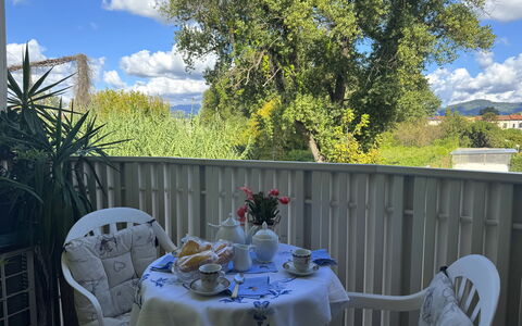 Liz: Möbel, Stuhl, Tisch Im Freien, Gartenmöbel, Balkon, Schatten, Servierware, Tischdecke, Küche & Esszimmer Tisch, Garten