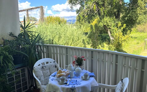 Liz: Möbel, Stuhl, Gartenmöbel, Tabelle, Tisch Im Freien, Balkon, Veranda, Schatten, Hinterhof, Küche & Esszimmer Tisch