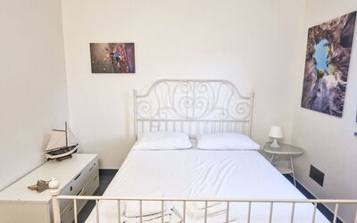 Le Radici Dell'Ulivo