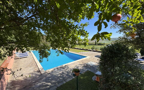 Casa Mia: Schwimmbad, Garten, Schatten, Resort, Landscaping, Eco Hotel, Hazienda, Hinterhof, Estate, Garten