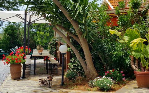 Appartamento Ibisco Seaside and Pool: Grün, Blumentopf, Garten, Möbel, Schatten, Gartenmöbel, Hinterhof, Zimmerpflanze, Stuhl