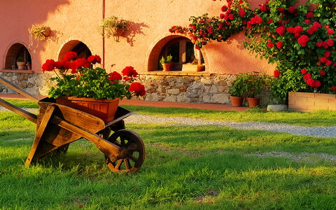 Suite Orchidea Seaside and Pool: Garten, Landscaping, Garten, Blumentopf, Hinterhof, Hazienda, Zimmerpflanze