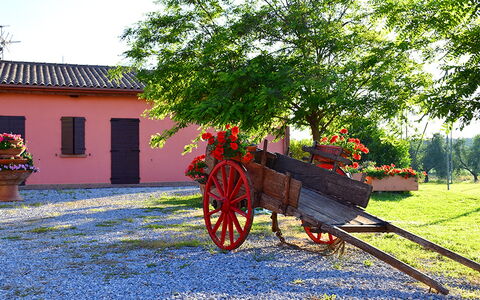 Appartamento Papavero Seaside and Pool: Garten, Landscaping, Garten, Auffahrt, Blumentopf, Hazienda