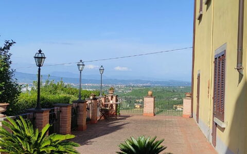 Villa Luce San Miniato: Blumentopf, Zimmerpflanze