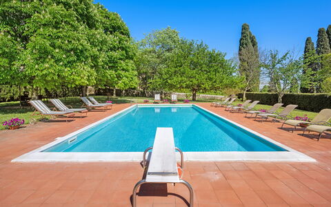 Medieval Castle Living: Vineyards, Swimming Pool &: Strauch, Garten, Schwimmbad, Estate, Hazienda, Schatten, Landscaping, Rasen, Villa, Resort