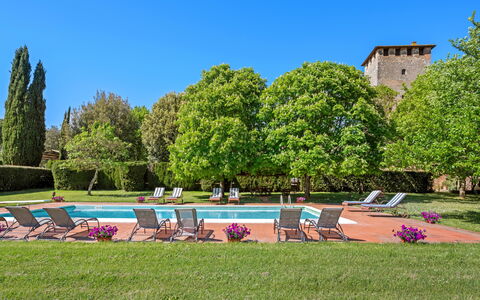 Medieval Castle Living: Vineyards, Swimming Pool &: Strauch, Garten, Estate, Hazienda, Rasen, Landscaping, Plantage, Hecke, Hof, Park