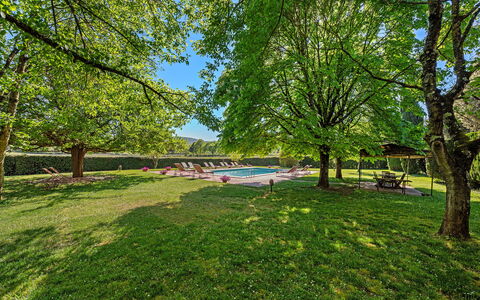 Medieval Castle Living: Vineyards, Swimming Pool &: Baum, Natur, Blatt, Ast, Garten, Sonnenlicht, Schatten, Rasen, Park, Landscaping
