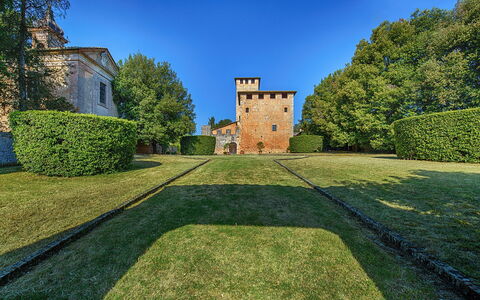 Medieval Castle Living: Vineyards, Swimming Pool &: Strauch, Garten, Estate, Rasen, Hecke, Landscaping, Schloss, Park, Immergrün, Villa