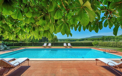Medieval Castle Living: Vineyards, Swimming Pool &: Garten, Schatten, Resort, Eco Hotel, Schwimmbad, Hazienda, Gartenmöbel, Plantage, Villa, Bauernhaus