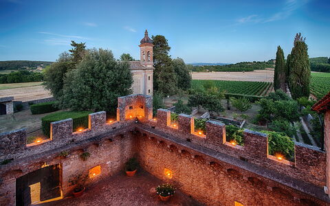 Medieval Castle Living: Vineyards, Swimming Pool &: Landschaft, Schloss, Estate, Garten, Historische Seite, Mittelalterliche Architektur, Befestigung, Palast, Villa