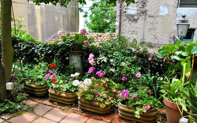 Giardino dei Limoni