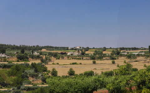 Trulli Retreat, Pool, Locorotondo: Himmel, Vegetation, Horizont, Ökoregion, Einfach, Strauch, Pflanzengemeinschaft, Wiese, Grundstueck, Ländliches Gebiet