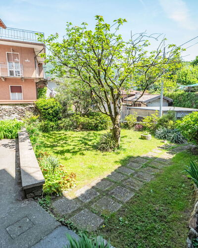 Iside: Strauch, Garten, Ground, Garten, Hinterhof, Landscaping, Rasen, Hof, Walkway, Hazienda