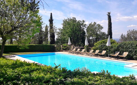 Podere Peteglia: Schwimmbad, Strauch, Resort, Garten, Landscaping, Gartenmöbel, Hazienda, Estate, Eco Hotel, Schatten