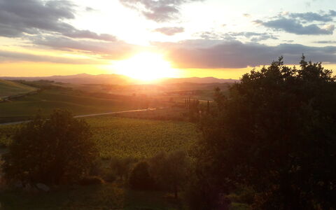 Podere Peteglia: Sonne, Horizont, Natur, Sonnenuntergang, Natürliche Landschaft, Sonnenaufgang, Afterglow, Hügel, Landschaft, Dämmerung